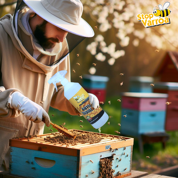 Varroa: Loinen, joka tappaa mehiläisiä ja kuinka taistella sitä vastaan