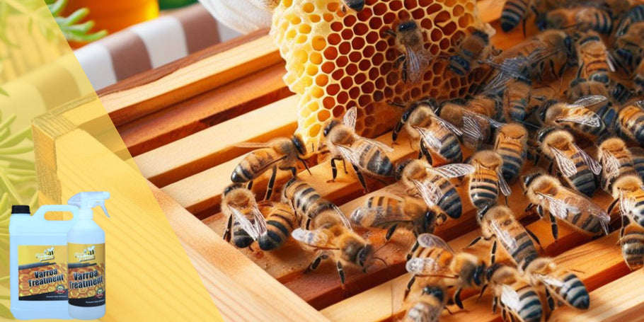Hyvästi Varroa, Tervehdys Terveet Mehiläispesät: Kattava Opas Hoitoihin