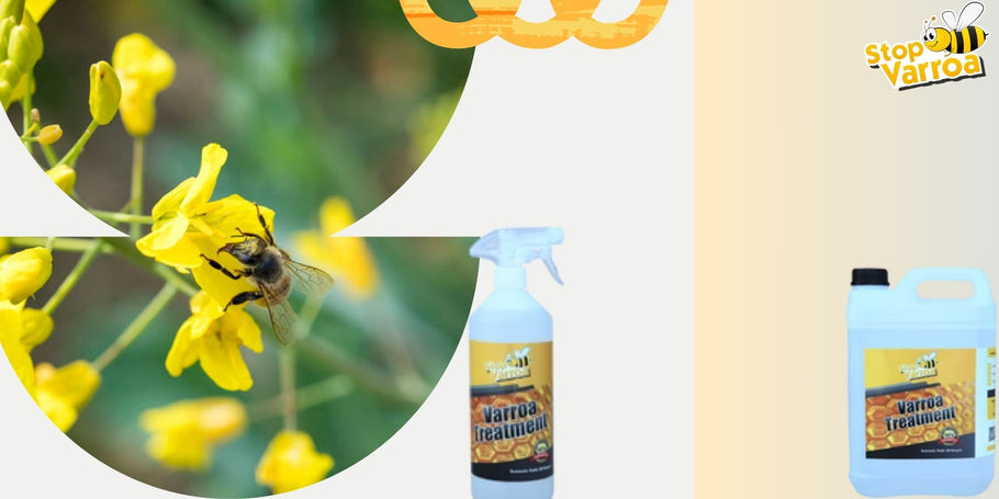 Ennakoi Varroan esiintyminen ja suojaa mehiläisiämme tehokkaasti