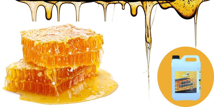 Mehiläistarhaus: Hälytys hunajantuotannon laskusta!