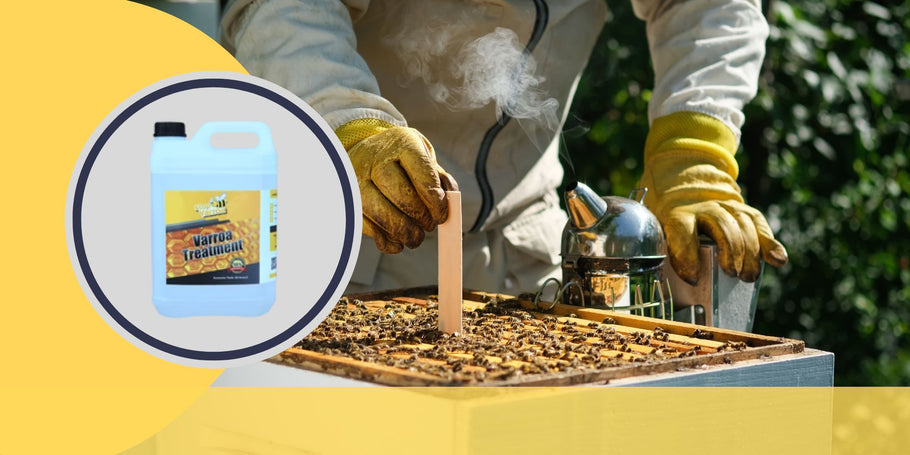Varroapunkkien torjunta: avainhetket mehiläisten terveyden suojelemiseksi