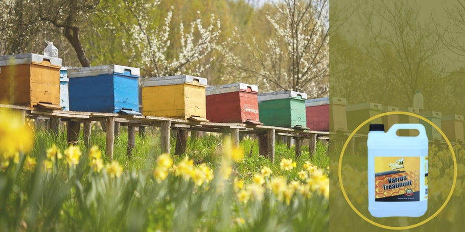 Strategiat Varroa-haasteen voittamiseksi: mehiläispesän aikakirjat