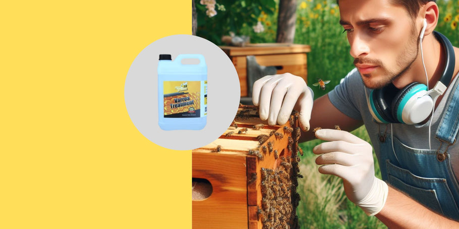 Varroa: miten ammattimaiset mehiläishoitajat hallitsevat tämän loisen?